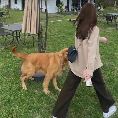 胖嫂回娘家